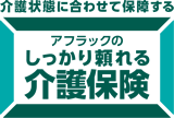 �A�t���b�N�̂������藊�����ی�