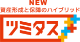 ���Y�`���ƕۏ�̃n�C�u���b�h �c�~�^�X